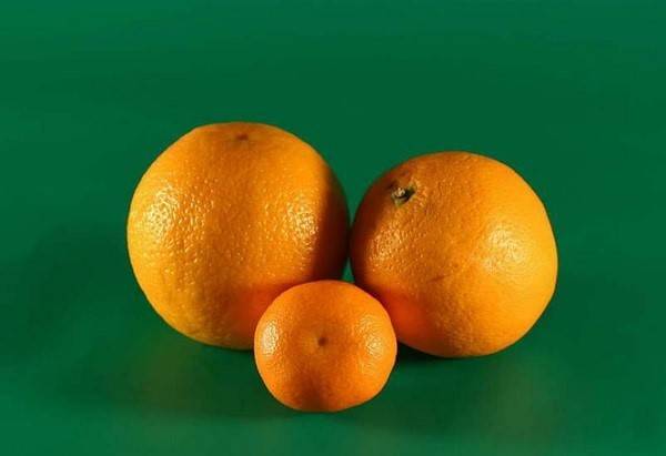 Битва фруктов - полезность апельсина и мандарина с фото