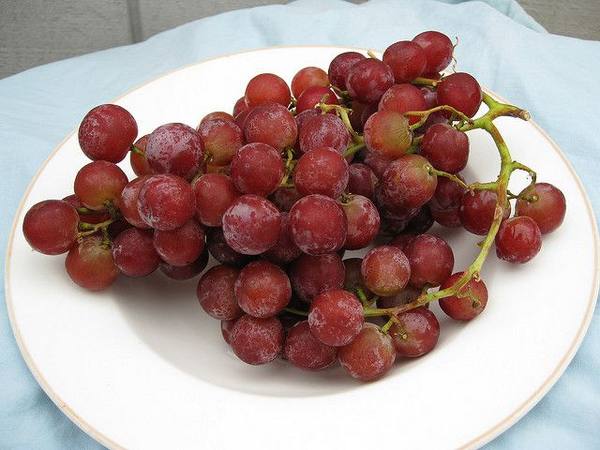 Полезные действия ягод винограда и его вред для организма - фото
