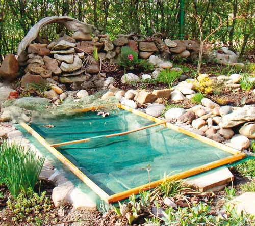 Как пруд в саду сделать безопасным, защита пруда с фото