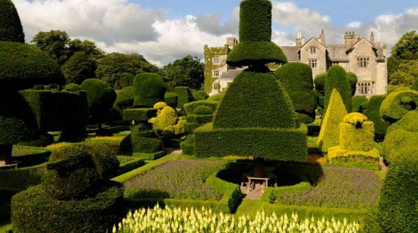 Левенс Холл  самый красивый топиарный сад Англии с фото