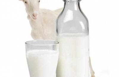 Возможно ли употребление козьего молока при панкреатите? - фото