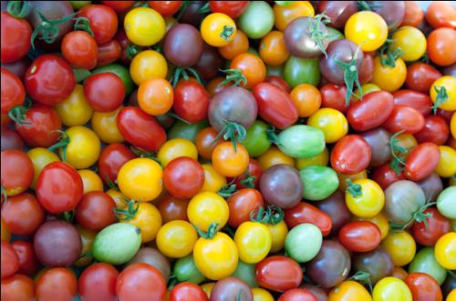 Сорта томатов сибирской селекции на 2017 год с фото