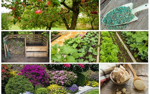 Осенние удобрения  чем подкормить сад, огород и цветник в конце сезона с фото