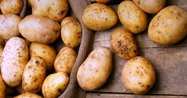 Как подготовить картофель к весенней посадке с фото