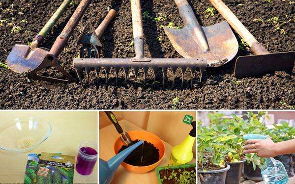 Раствор марганцовки: как применять в саду и огороде и чем его заменить - фото
