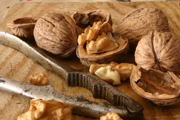 Скорлупа грецкого ореха: применение в народной медицине, в саду и в хозяйстве с фото