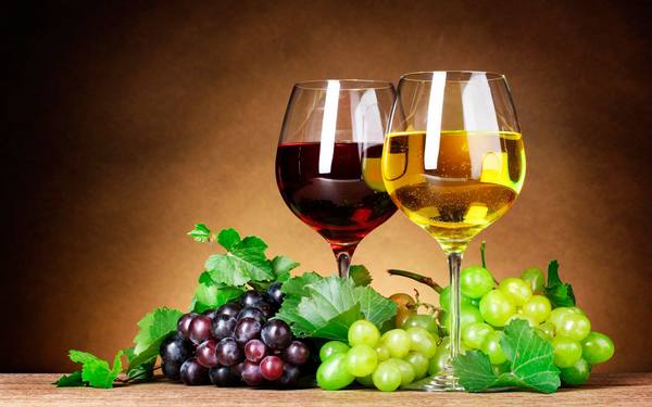 Технические виноградные сорта и их характеристика - фото