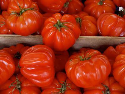 «Сто пудов» — мнения огородников о сорте томата - фото