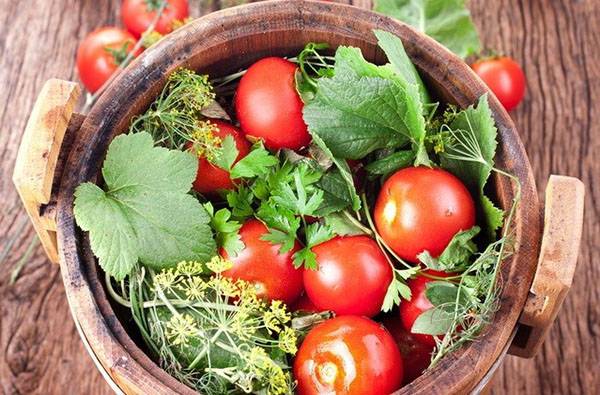 Выращиваем на даче засолочные сорта помидор - фото